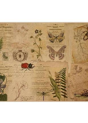 Лист крафт бумаги с рисунком botanical backgrounds #10, 42x29,7 см