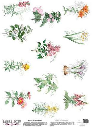 Деко веллум (лист кальки с рисунком) wildflowers 2, а3 (29,7см х 42см)