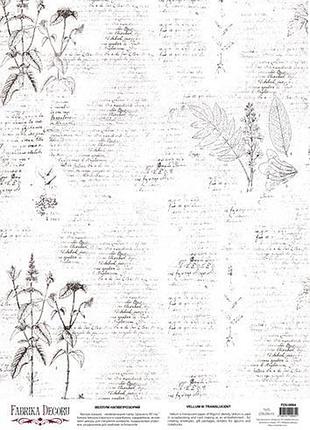 Деко веллум (лист кальки с рисунком) botany spring 1, а3 (29,7см х 42см)