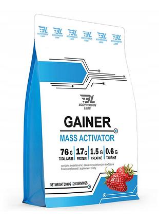 Gainer - 2000g strawberry