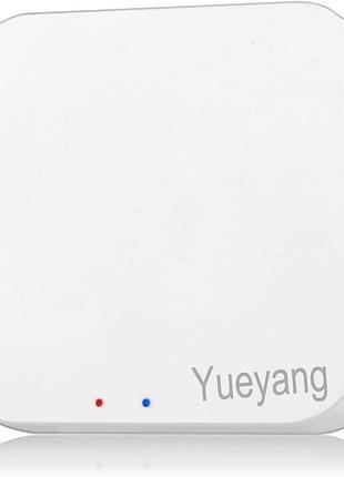 Інтелектуальний шлюз yueyang zigbee 3.0