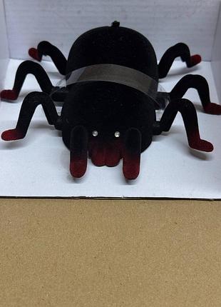 Телевизор spider для детей 5
