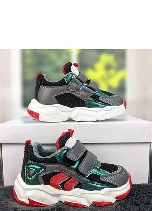 Кросівки kimboo 22
