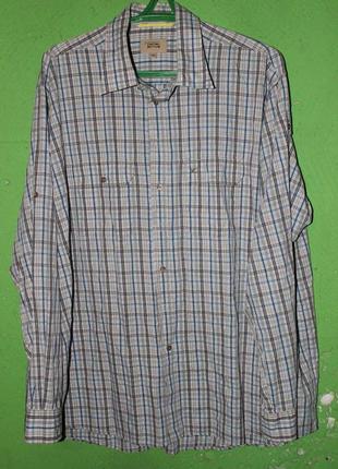 Фирменная хлопковая рубашка