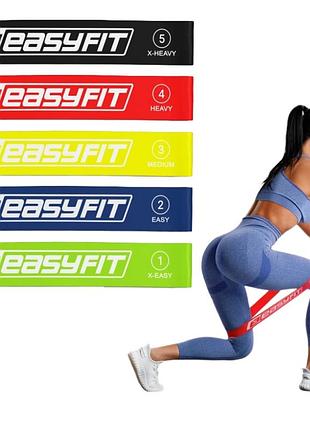 Резинка для фитнеса easyfit mix набор 5 шт 2.5-20 кг + чехол (ef-1813)