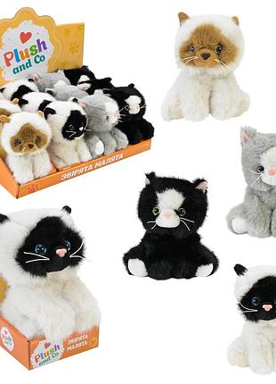 Мягкая игрушка plush and co арт. plc25016 (144шт) 13 см 12шт в дисплей боксе 4 вида, кор. 9*8*13см, в дисплее 38*26*14см