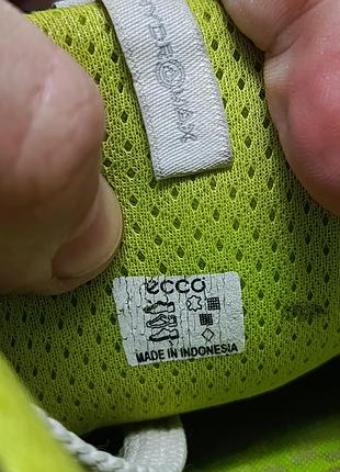 Кросівки ecco 7