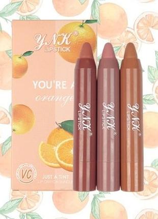 Карандаш помада ynk lipstick you`re a orange natural vitamine c product 3 штуки