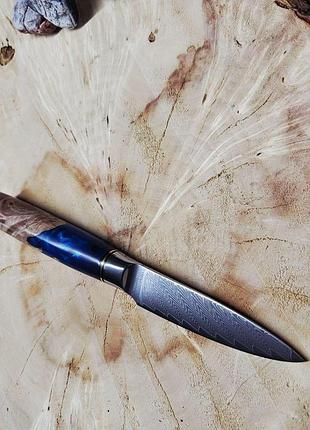 Нож кухонный универсальный premium damascus — дамасская сталь и рукоять из капа с синей смолой