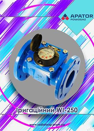 Ирригационный счетчик холодной воды dn250 apator powogaz wі-250 сухоходный крыльчатый механический