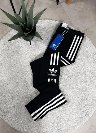 Лосини від adidas