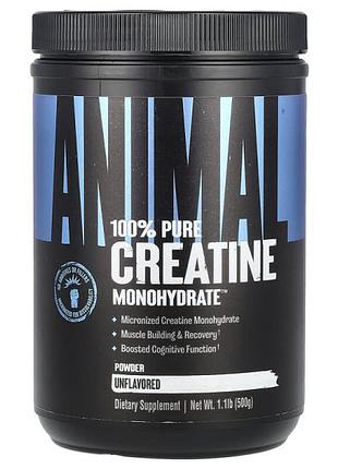 Креатин моногидрат universal nutrition animal micronized creatine, 500 грамм (без вкуса)(336177395)