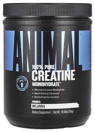 Креатин моногидрат universal nutrition animal micronized creatine, 300 грамм (без вкуса)(33617734)