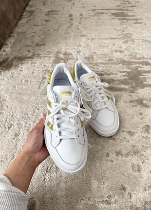 Нові кеди adidas team court