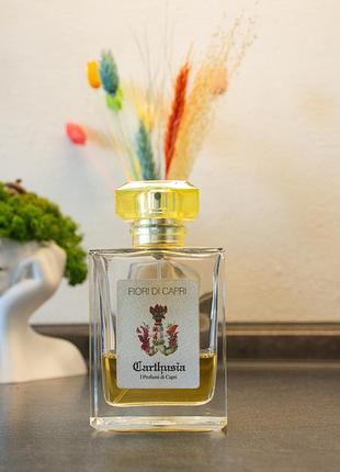 Carthusia fiori di capri