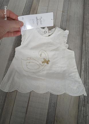 Нова літня  сорочичка