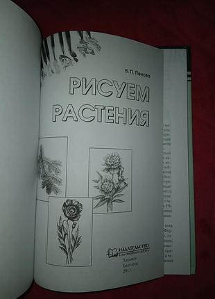 Рисуем растения 4