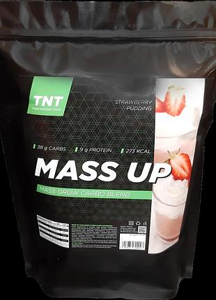 Гейнер для набору ваги 2,5 кг польща mass up tnt nutrition