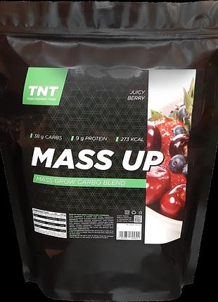 Гейнер для набора веса и массы 2,5 кг mass up tnt