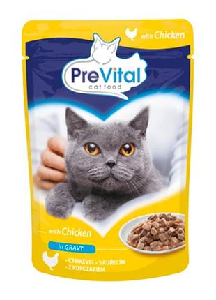 Корм для взрослых котов с курицей в соусе 100 г prevital