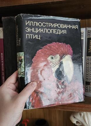 "ілюстрована енциклопедія птахів" (иллюстрированная энциклопедия птиц).