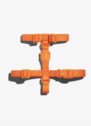 Zee.dog neopro tangerine - неопренова шлея для собак - розмір l
