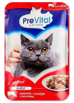 Корм для взрослых котов с курицей в желе 100 г prevital