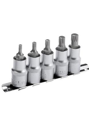 Набор сплайнов на планке м5-м12, 1/2", 5 ед. intertool ht-1850