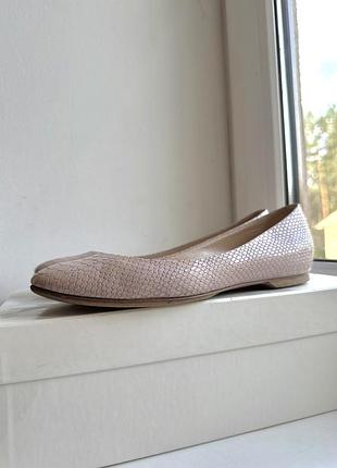 Балетки кожані casadei жіночі