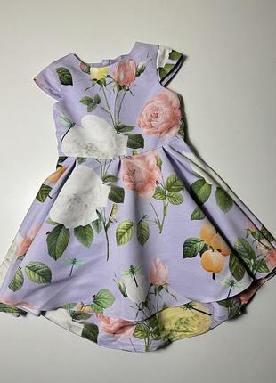 Сукня ted baker