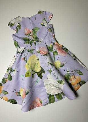 Сукня ted baker 4