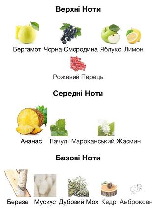Aventus духі 3