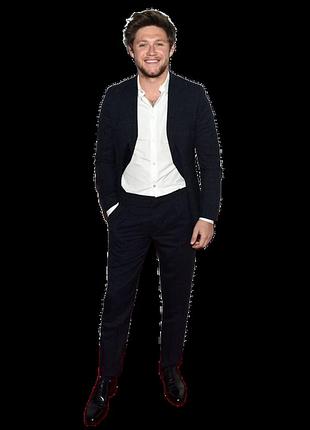 Пластиковая ростовая фигура ниал хоран (niall horan) 180 см