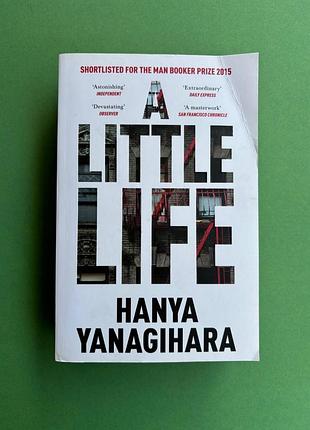 Hanya yanagihara a little life