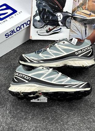 Salomon xt-6 grey