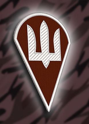 №162 шеврон дшв