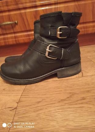 Женские кожаные ботинки steve madden