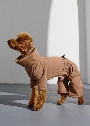 Костюм party кэмел d-208