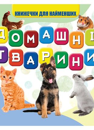 Моя первая книжечка домашние животные vr06041703-n, 10 страниц