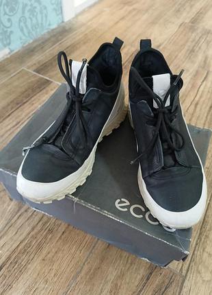 Кросівки ecco exostrike 36р