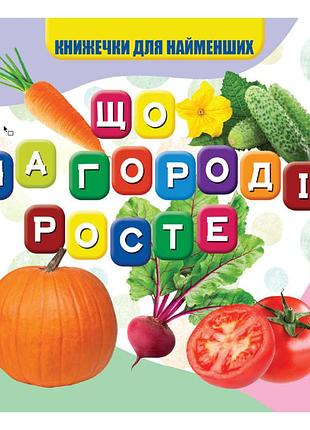 Моя первая книжечка что растет на огороде vr06041705, 10 страниц