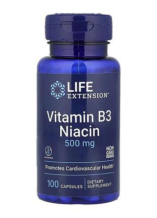 Vitamin b3 niacin 500 mg - 100 caps
