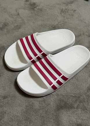 Adidas adilette shower 38р 24-25см шльопанці оригінал