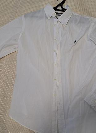 Фирменная белая мужская рубашка polo ralph lauren (l)