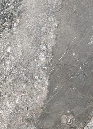 Плитка bien ceramica eola 60x120 grey poler rect