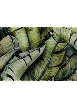 Декор classica paradyz natura 30x60 glass inserto leaf b