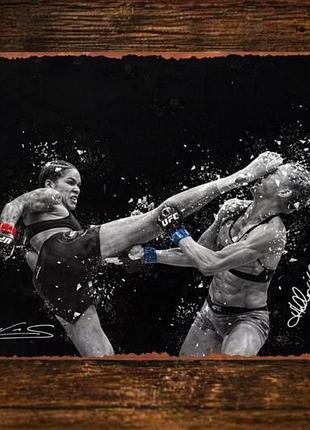 Металлическая винтажная табличка ufc аманда нунис против холли холм, 14х20 см  (уценка!)