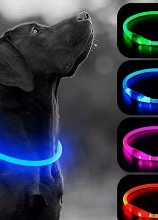Светящийся led ошейник для собак с usb зарядкой 35 см
