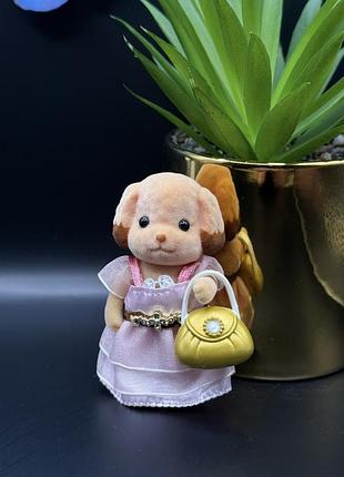 Карликовий пудель сільванія