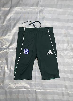Шорты adidas schalke 04 training shorts (s04) / оригинал